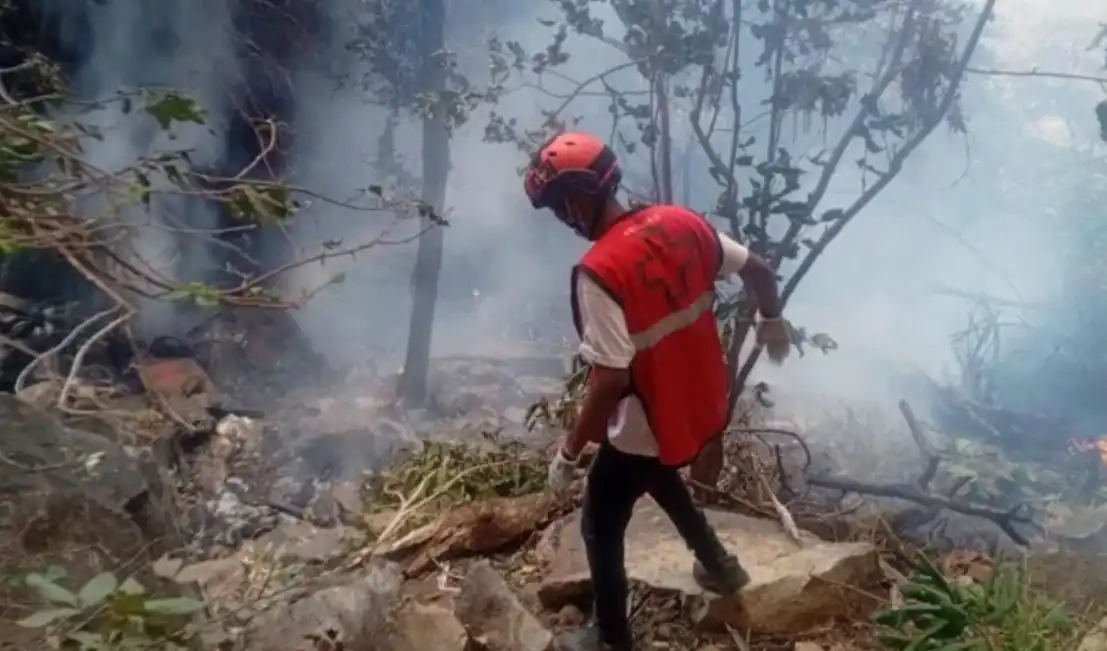কেনিয়ায় হেলিকপ্টার বিধ্বস্ত, ইকুয়েডরের গোয়েন্দাপ্রধানসহ নিহত ৭