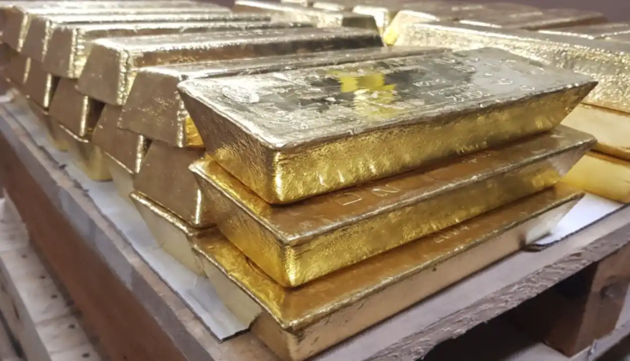 বাংলাদেশ থেকে ভারতে পাচারকালে ২২ কোটি টাকার স্বর্ণ উদ্ধার