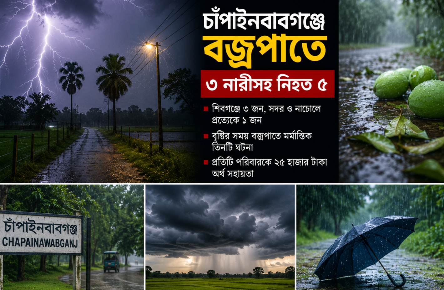 চাঁপাইনবাবগঞ্জে বজ্রপাতে ৩ নারীসহ নিহত ৫
